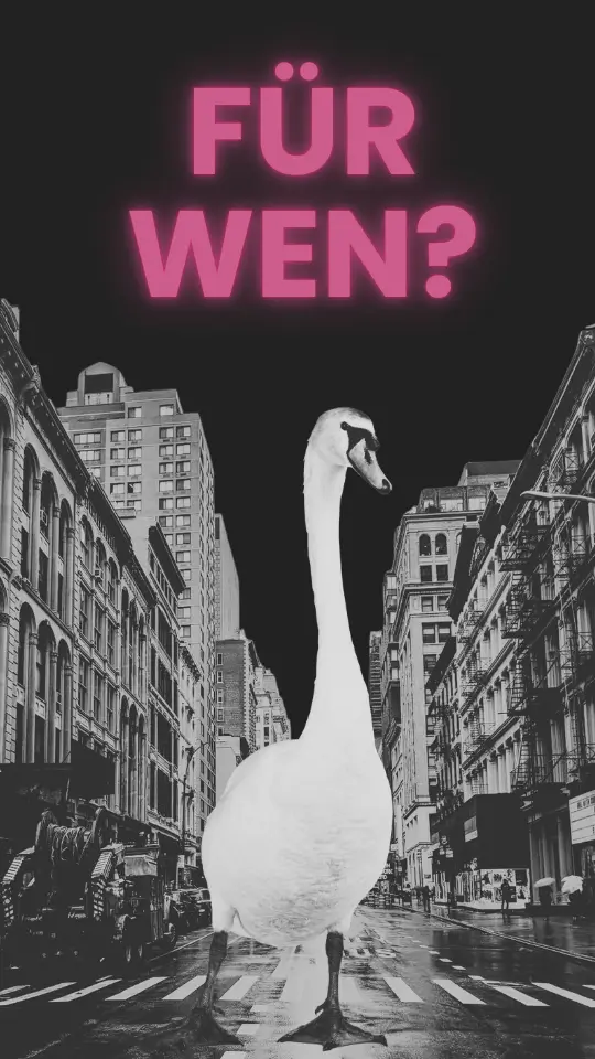 Für wen ist eine Landingpage ideal? – maxWapp