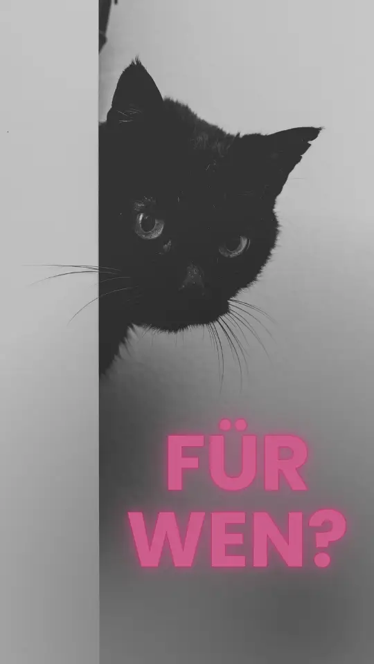 Professionelle Website vom WordPress Freelancer – für Unternehmen und Selbstständige